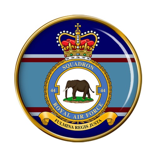 Squadron raf pin - 44, squadron,