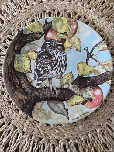 Vintage coalport little owl - vintage,
