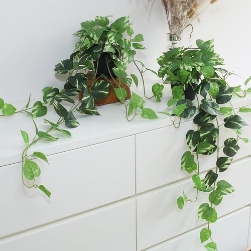 Set artificial pothos - of, 2