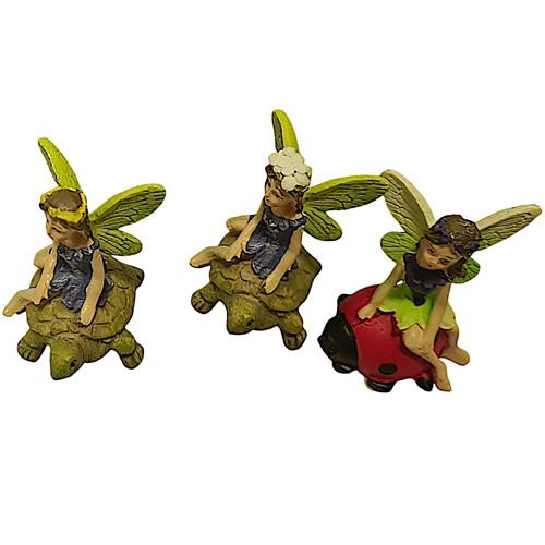 Pack fairy garden - 3,