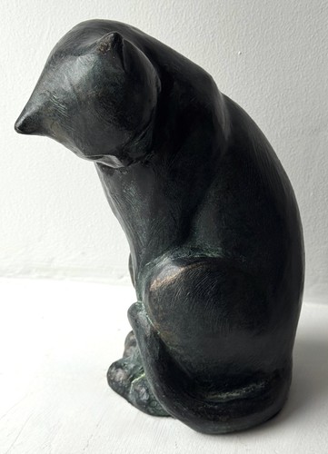 1970s feline study cat - feline,