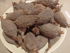 ORGANIC ALLIGATOR PEPPER