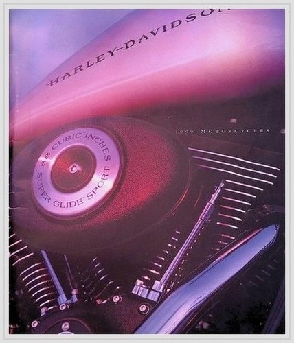 Harley davidson brochure 1999 - brochure,