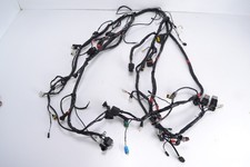 Main wiring loom harness