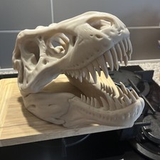 Rex skull fossil - t-rex, replica