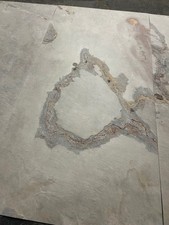 Bianco Slate Veneer  Sheet