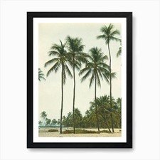 Long Beach Koh Lanta Thailand