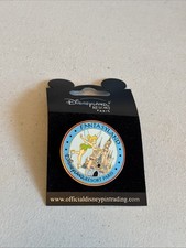 DISNEY DLRP LANDS PIN