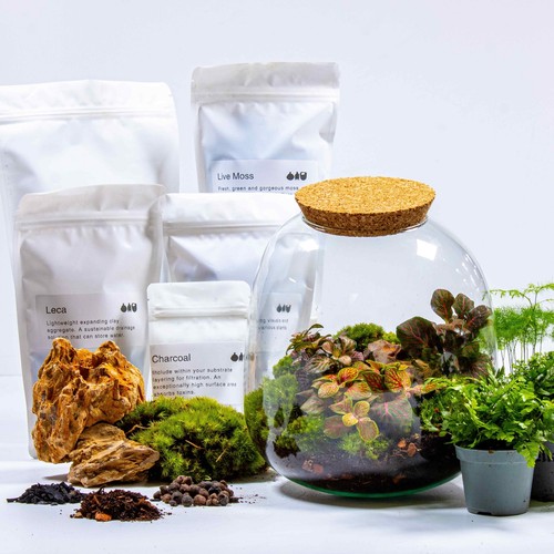 Diy terrarium kit with - diy, plants