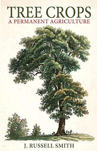Tree crops permanent - tree, crops: