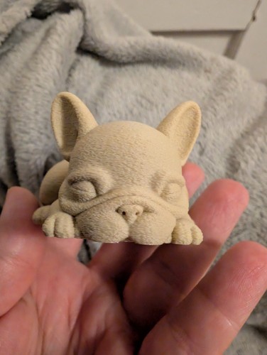 French bulldog known - french,