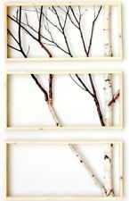 Silver Birch Frame Decoration Wall V1 (branches)