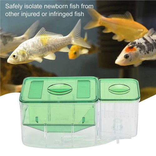 1pcs breeding aquarium fish - 1pcs,