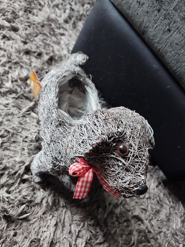 Funky dog planter wicker scarf - funky,