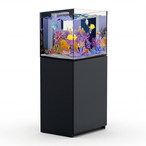 Gallon coral reef aquarium - 50,