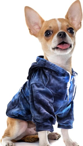 Slowton dog hoodie jumper - slowton,