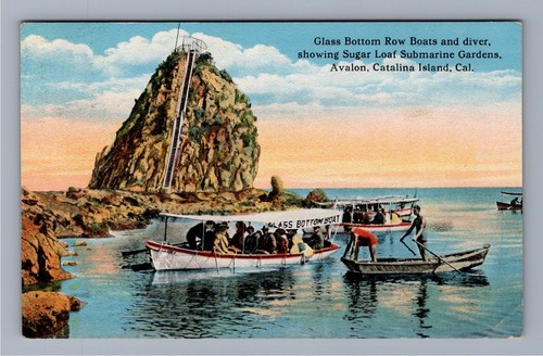 Glass bottom boats diver - bottom,
