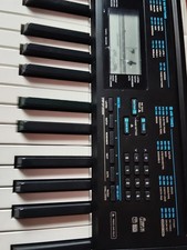 Casio Electronic Keyboard