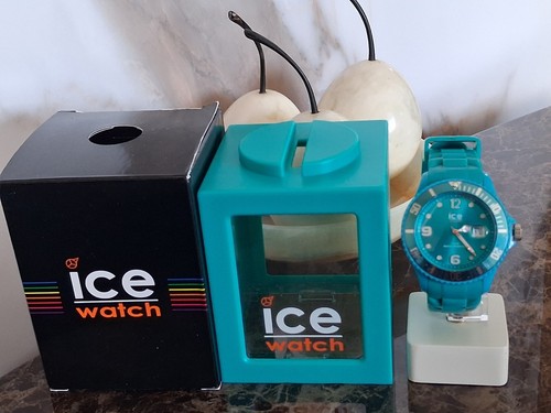 Mens womens ice watch - mens,