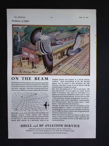 Original 1955 advert shell and - original,