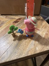 Rare Gardening Granny Pig With