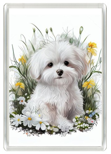 Maltese dog fridge magnet - maltese,