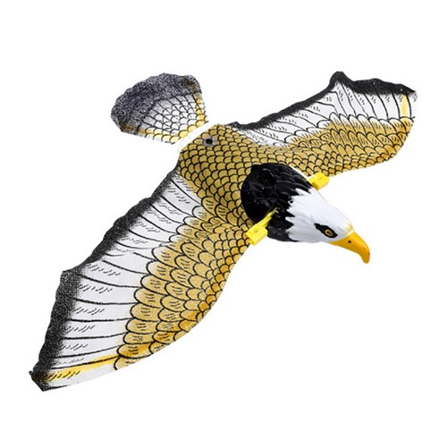 Bird repellent eagle - bird,