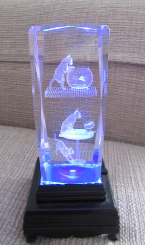 Engraved playing cats glass - 3d,