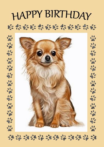 Chihuahua dog birthday card - dog,