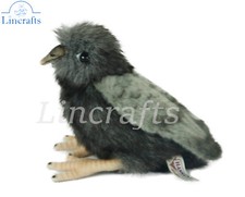 Pigeon Chick  Soft Toy Baby