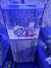 Aqua One Nano Reef 80