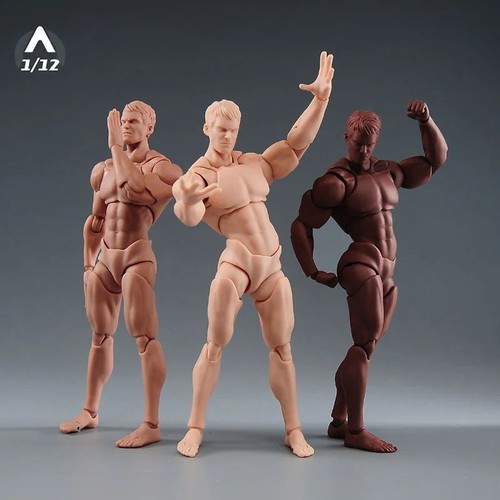 Wind toys male muscle - wind, 1/12
