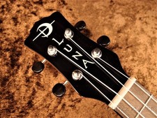 Luna Guitars Vista Bear