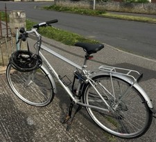 Raleigh Pioneer
