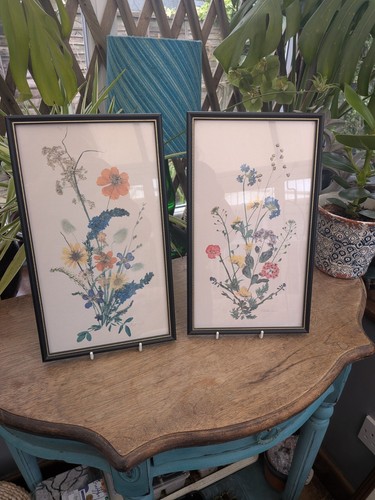 Two framed botanical - , art