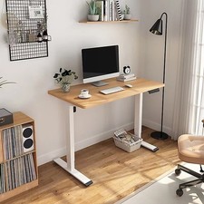Flexispot Electric Standing