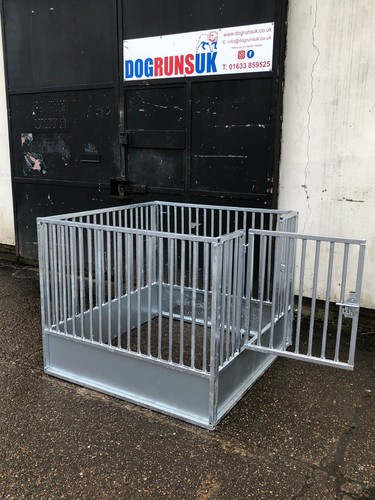 Puppy pen - puppy,