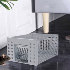 Humane mouse trap kill mice - mouse, no