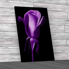 Improve Website Metadata For Better Seo Results Purple Canvas Print Large