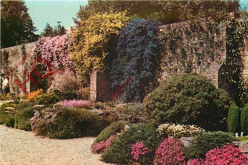 Picture postcard windsor - postcard-,