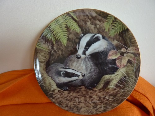Vintage collectors plate - collectors,
