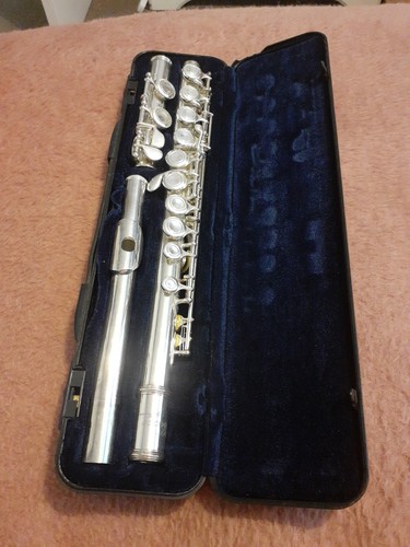 Vivace kurioshi flute - kurioshi,