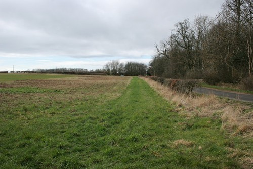 Photo 6x4 field - 6x4, field,