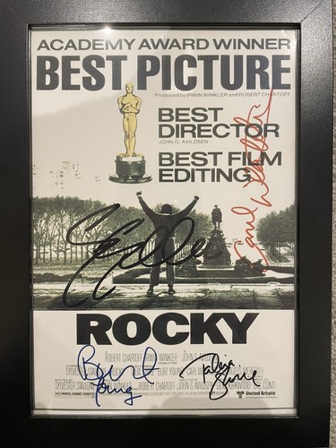 Omg rocky stallone boxing - omg,