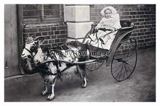 rp14308 - Young Child in a