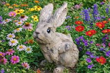 Small 17cm Adorable Wood