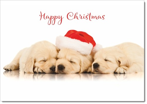Doodlecards happy christmas - doodlecards,