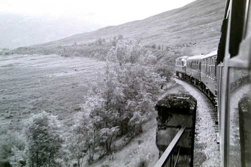 From the train - the,
