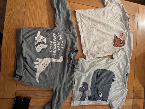 Boys dinosaur shirts and - boys,