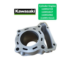 Kawasaki OEM Engine Cylinder